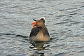 15 03 00_0819_edited-1